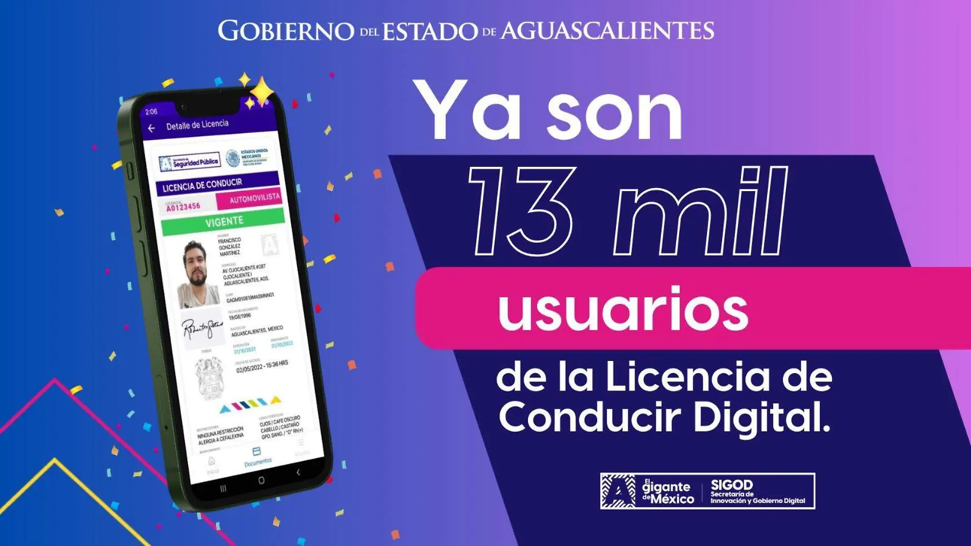 LICENCIA DE CONDUCIR DIGITAL